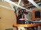 Thumbs/tn_mh7_0005.jpg